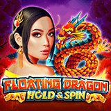 vs10floatdrg