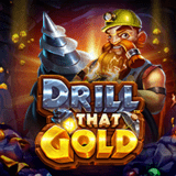 vs20drtgold™