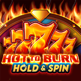 vs20hburnhs