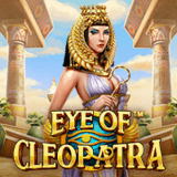 vs40cleoeye™