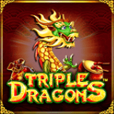 vs5trdragons™